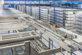 Tholu BV International Packaging Services